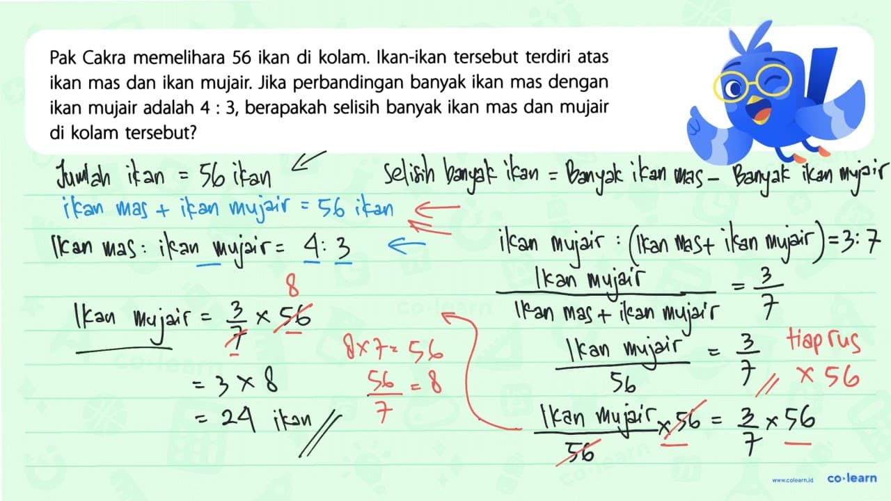 Pak Cakra memelihara 56 ikan di kolam. Ikan-ikan tersebut