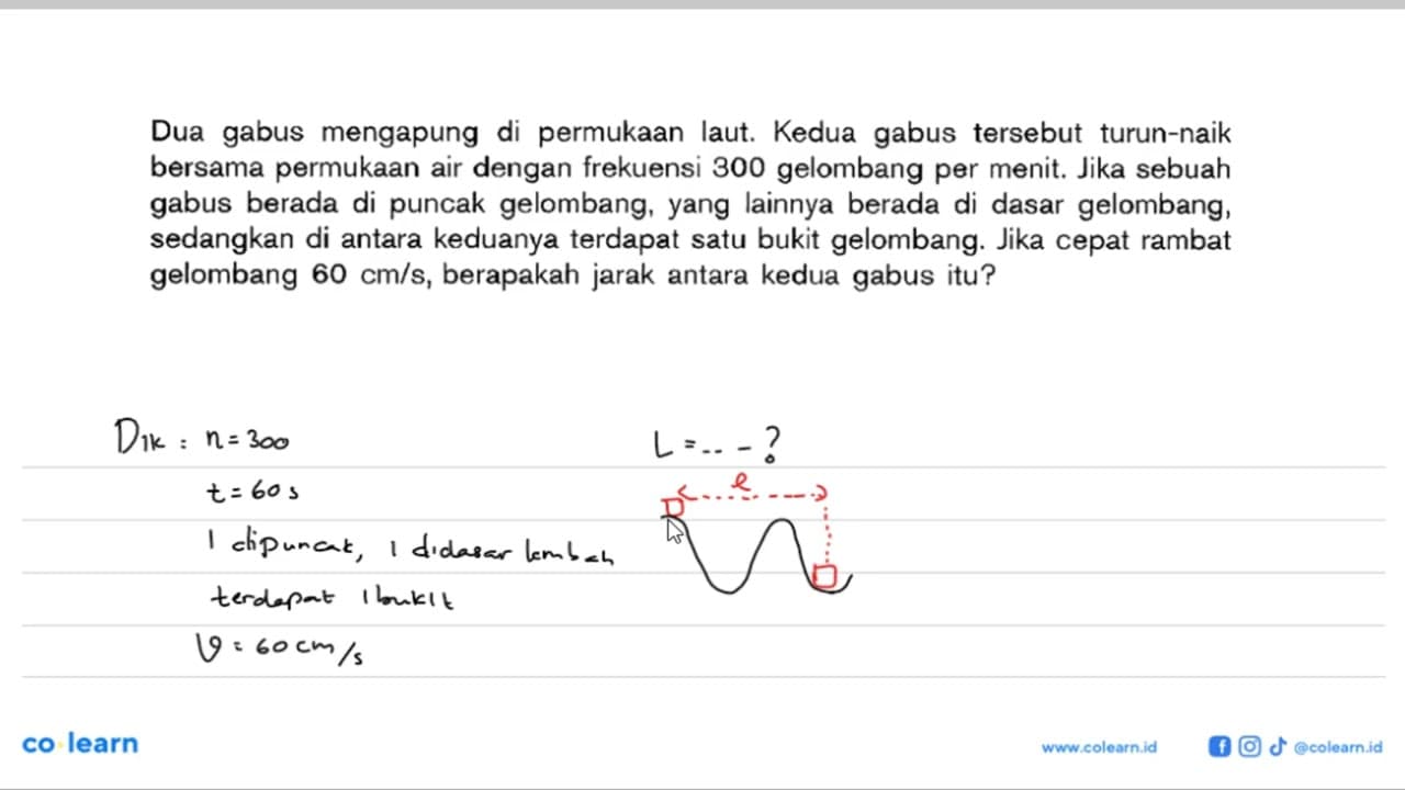 Dua gabus mengapung di permukaan laut. Kedua gabus tersebut