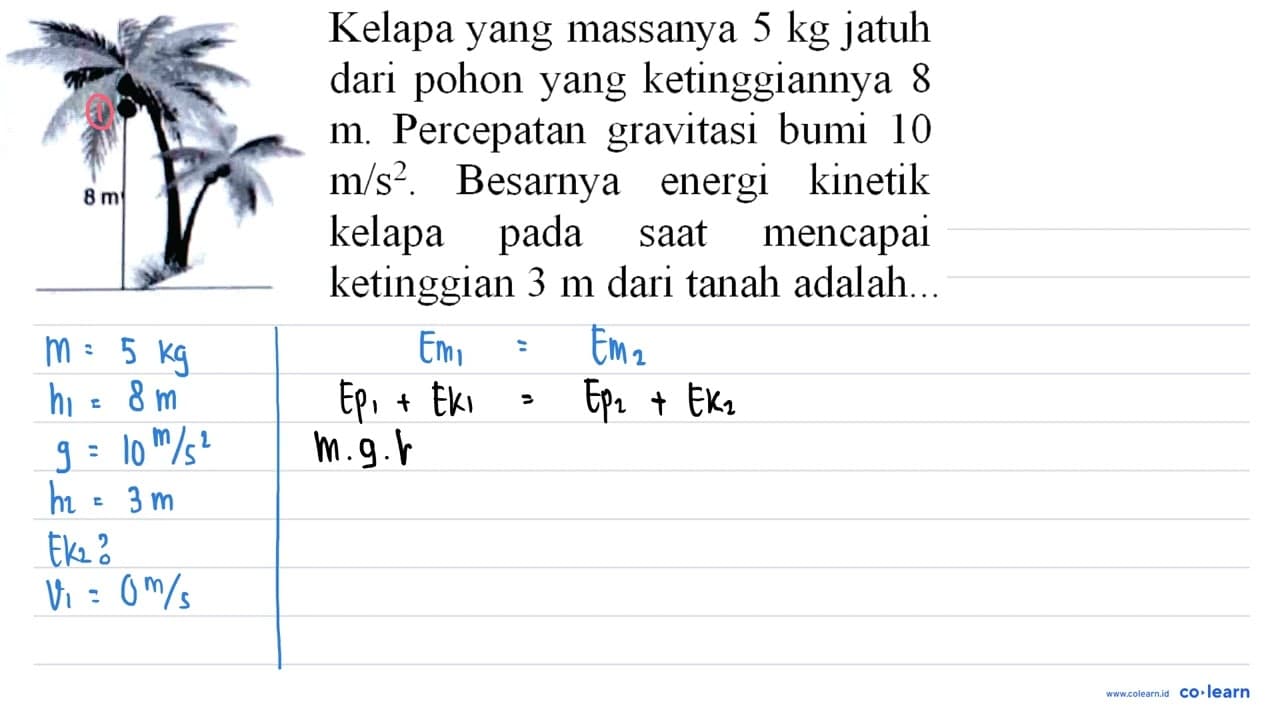 Kelapa yang massanya 5 kg jatuh dari pohon yang