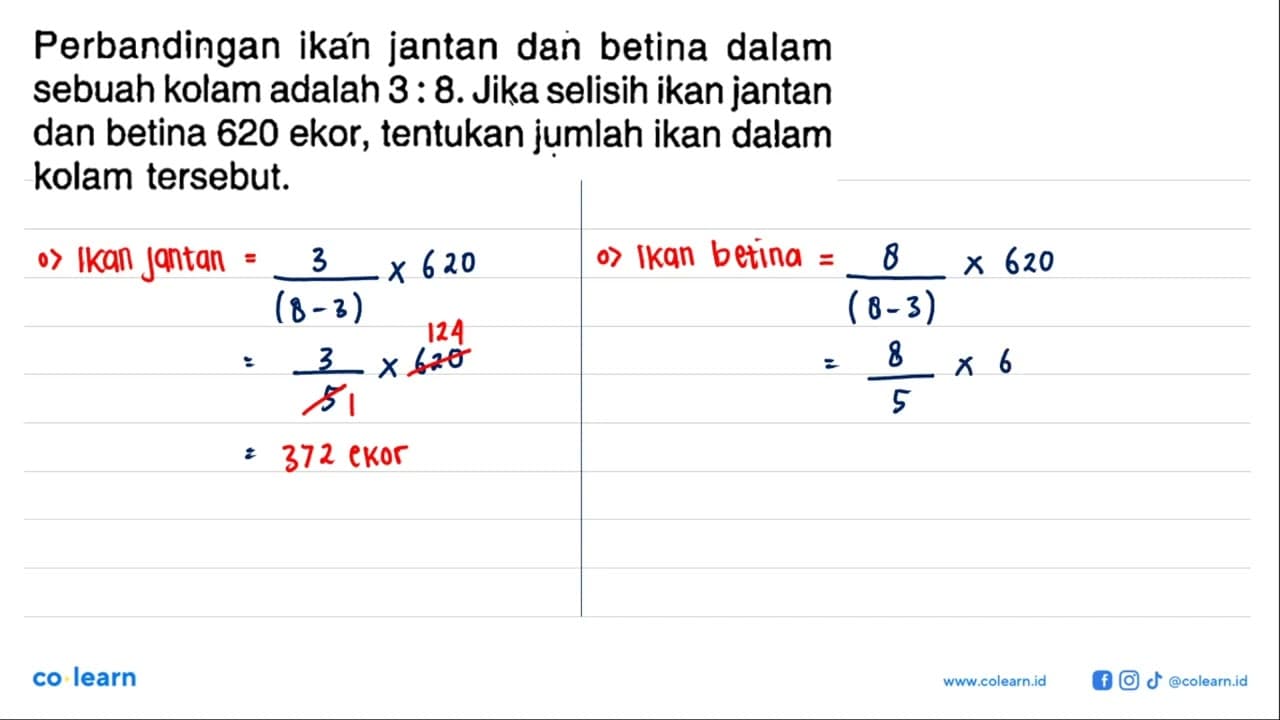 Perbandingan ikan jantan dan betina dalam sebuah kolam