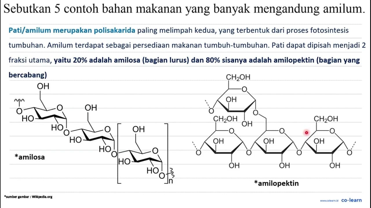 Sebutkan 5 contoh bahan makanan yang banyak mengandung