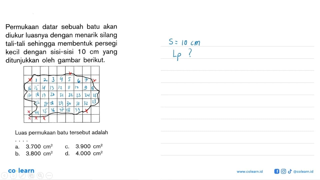 Permukaan datar sebuah batu akan diukur luasnya dengan