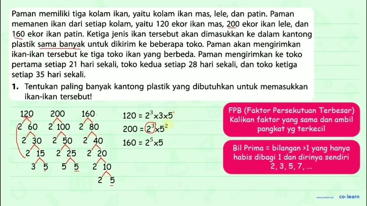 Paman memiliki tiga kolam ikan, yaitu kolam ikan mas, lele,