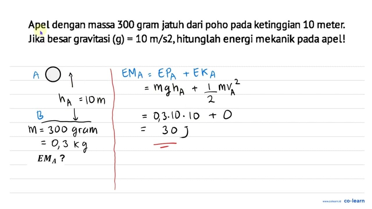 Apel dengan massa 300 gram jatuh dari poho pada ketinggian