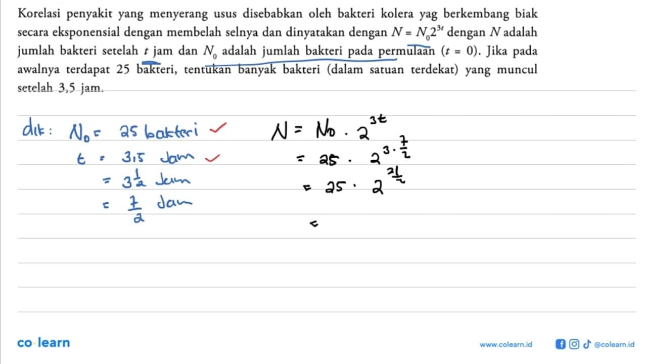 Korelasi penyakit yang menyerang usus disebabkan oleh