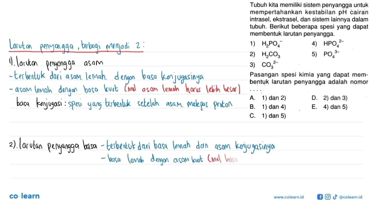 Tubuh kita memiliki sistem penyangga untuk mempertahankan