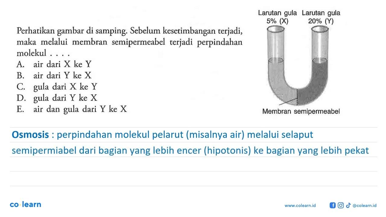 Perhatikan gambar di samping. Sebelum kesetimbangan