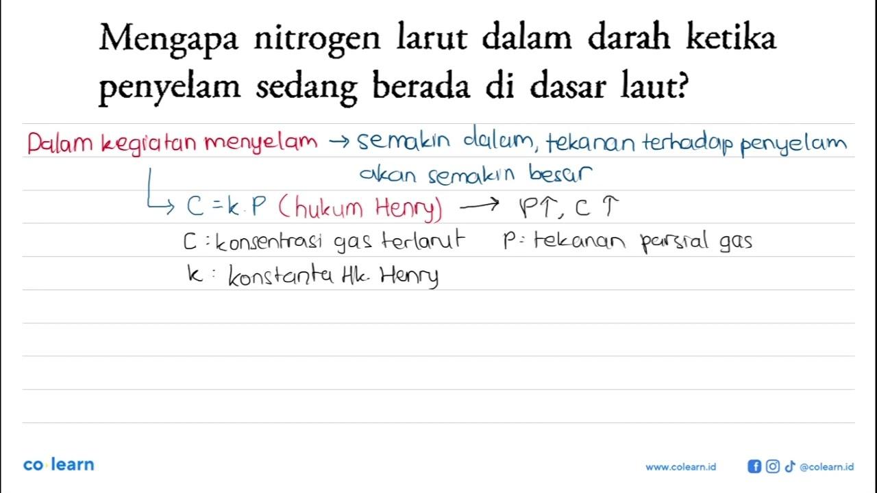 Mengapa nitrogen larut dalam darah ketika penyelam sedang