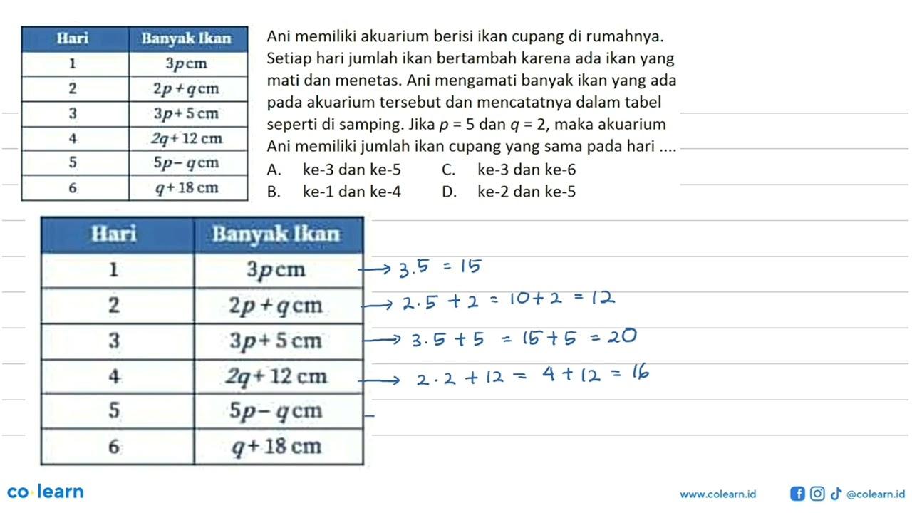 Hari Banyak Ikan 1 3p cm 2 2p + q cm 3 3p + 5 cm 4 2q + 12