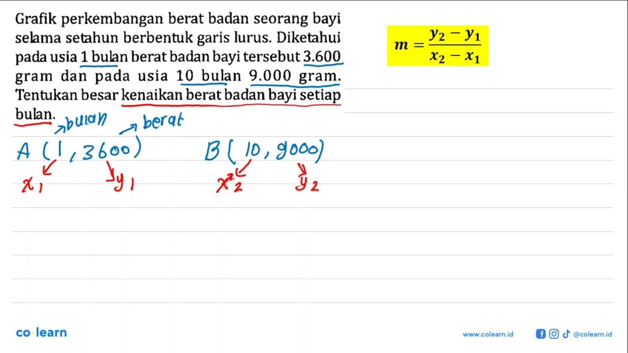 Grafik perkembangan berat badan seorang bayi selama setahun