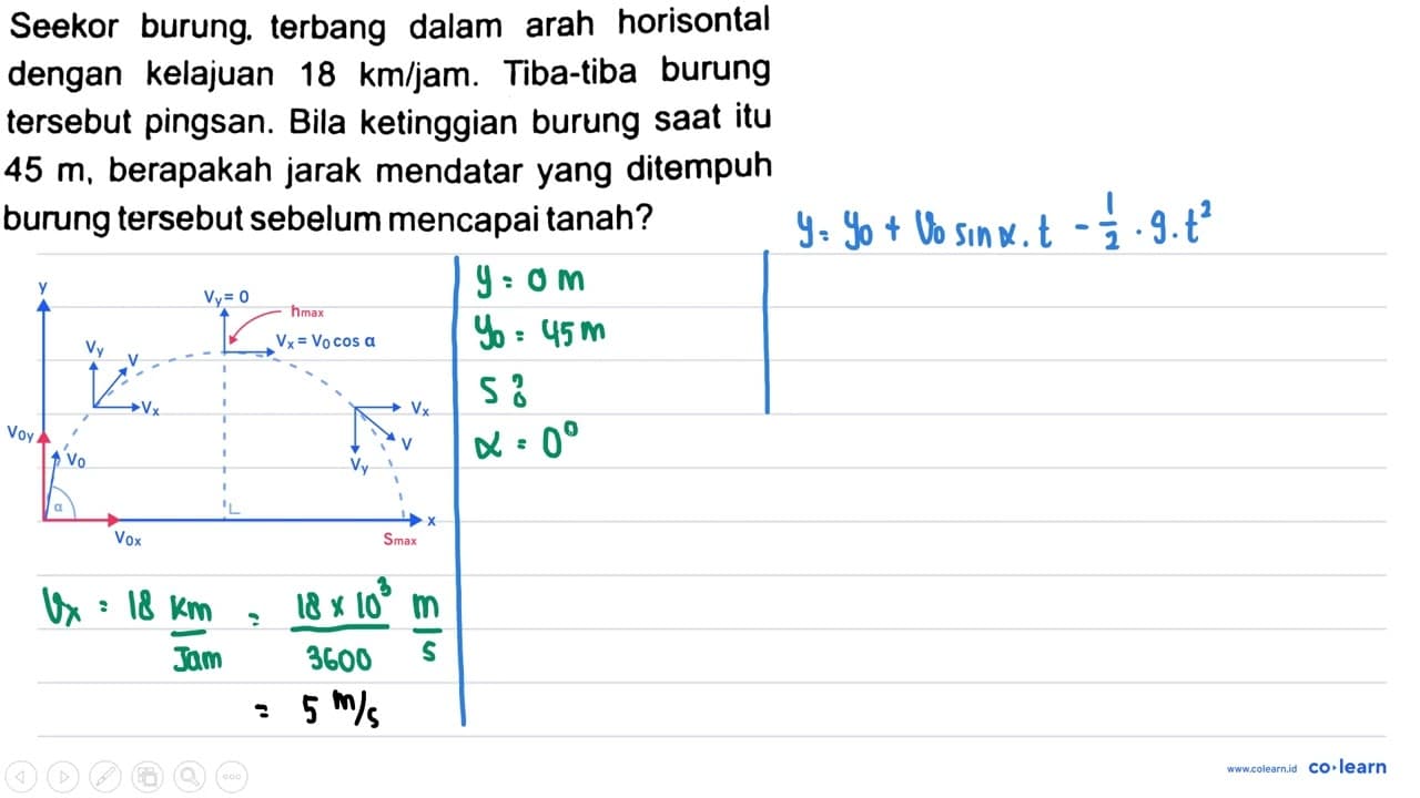 Seekor burung. terbang dalam arah horisontal dengan