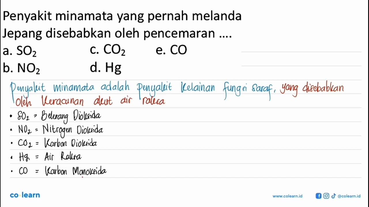 Penyakit minamata yang pernah melanda Jepang disebabkan