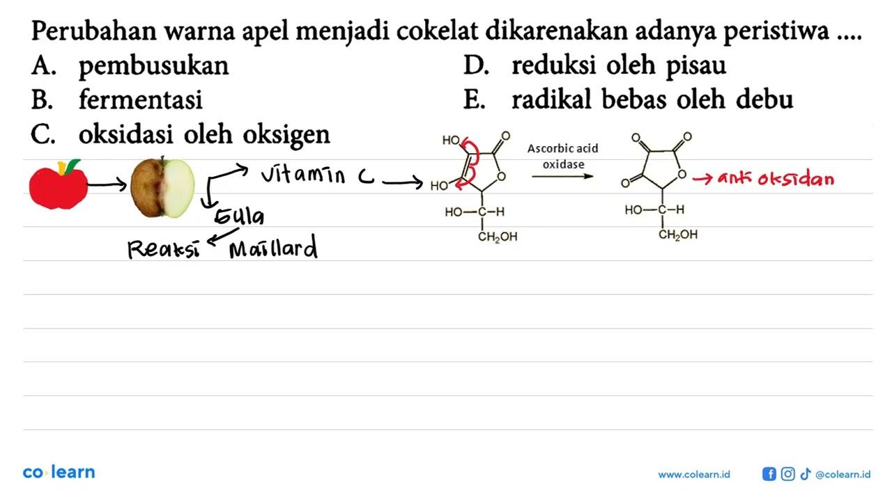 Perubahan warna apel menjadi cokelat dikarenakan adanya