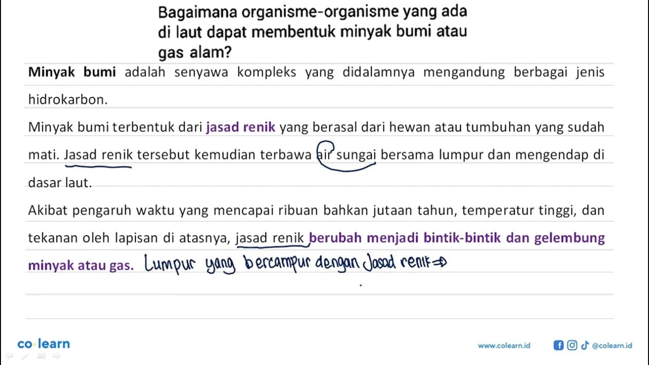 Bagaimana organisme-organisme yang ada di laut dapat