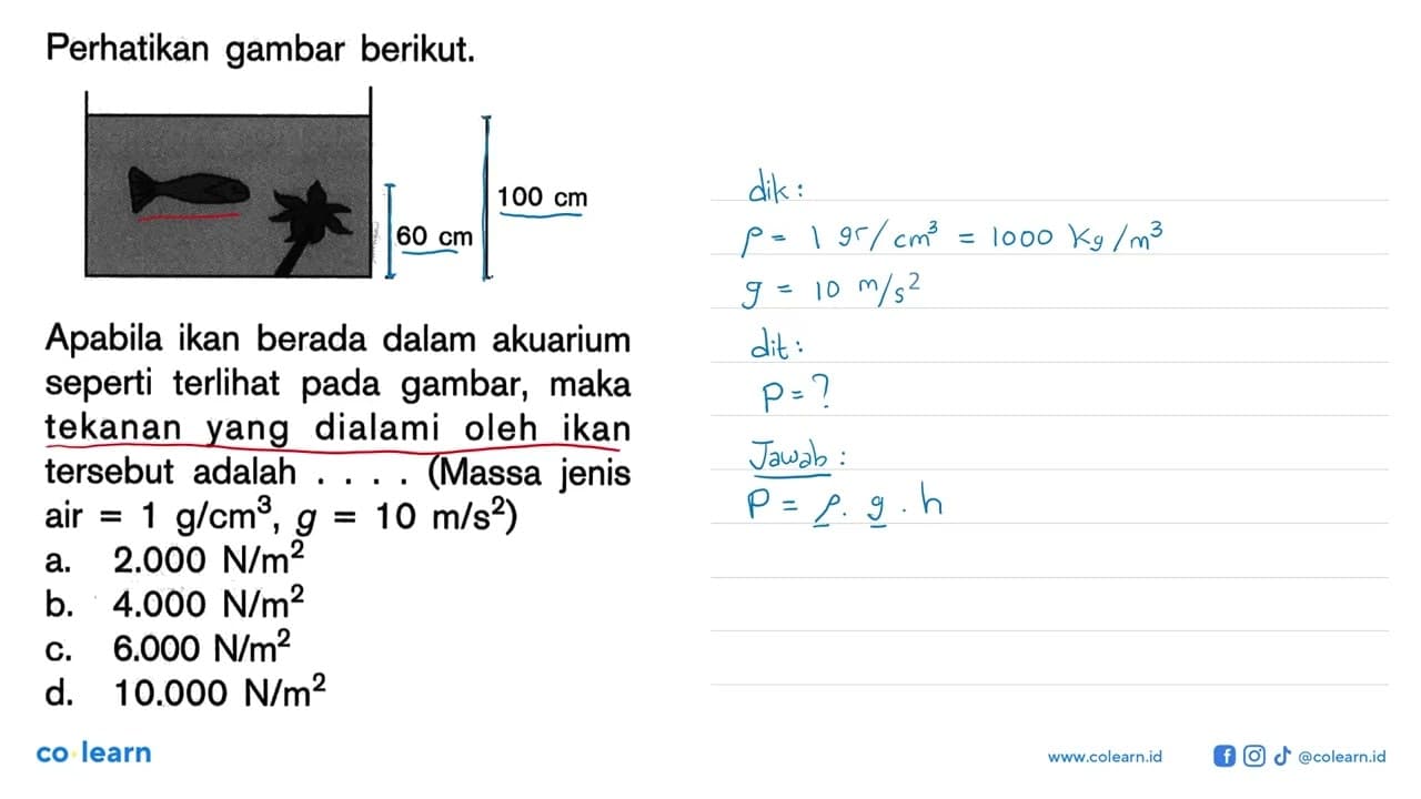 Perhatikan gambar berikut. 60 cm 100 cm Apabila ikan berada