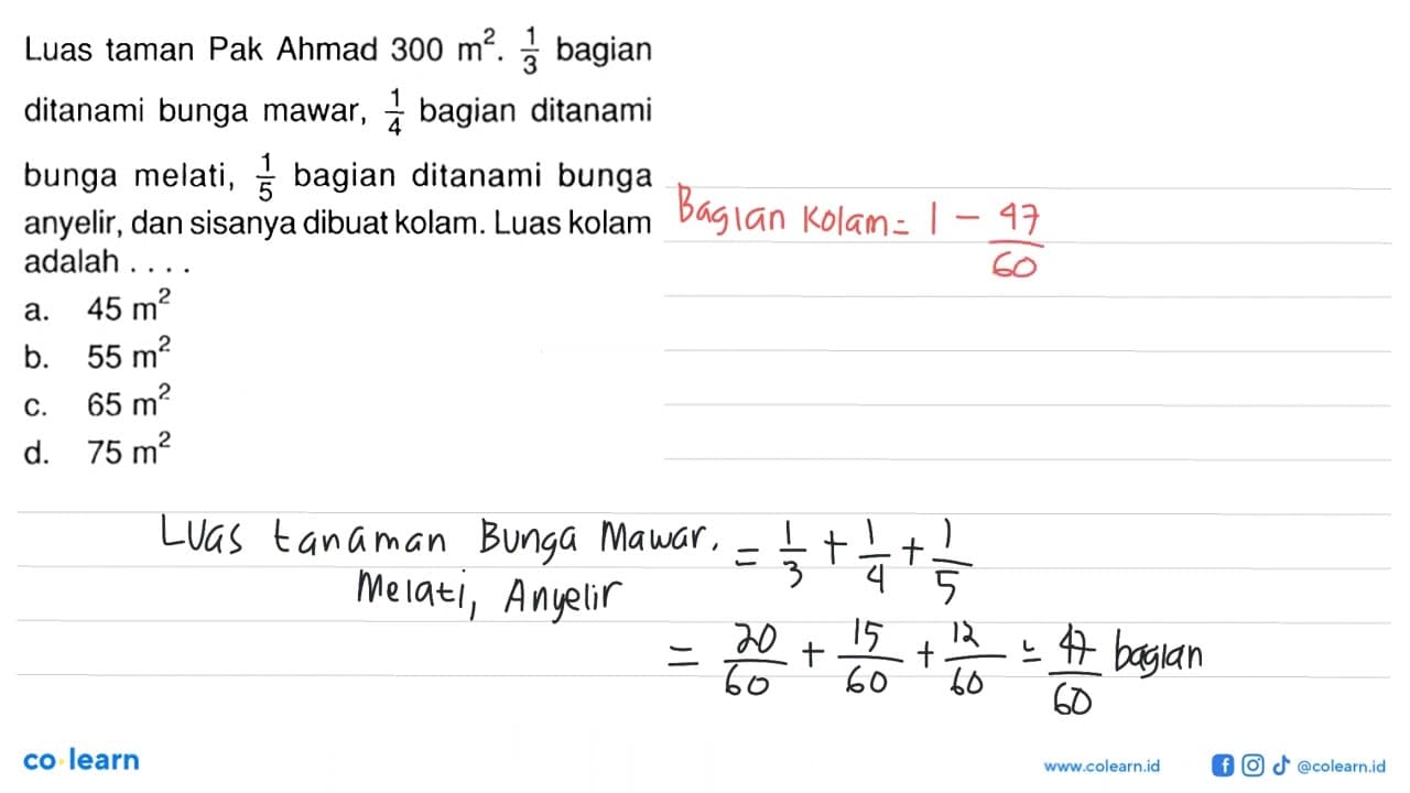 Luas taman Pak Ahmad 300 m^2. 1/3 bagian ditanami bunga