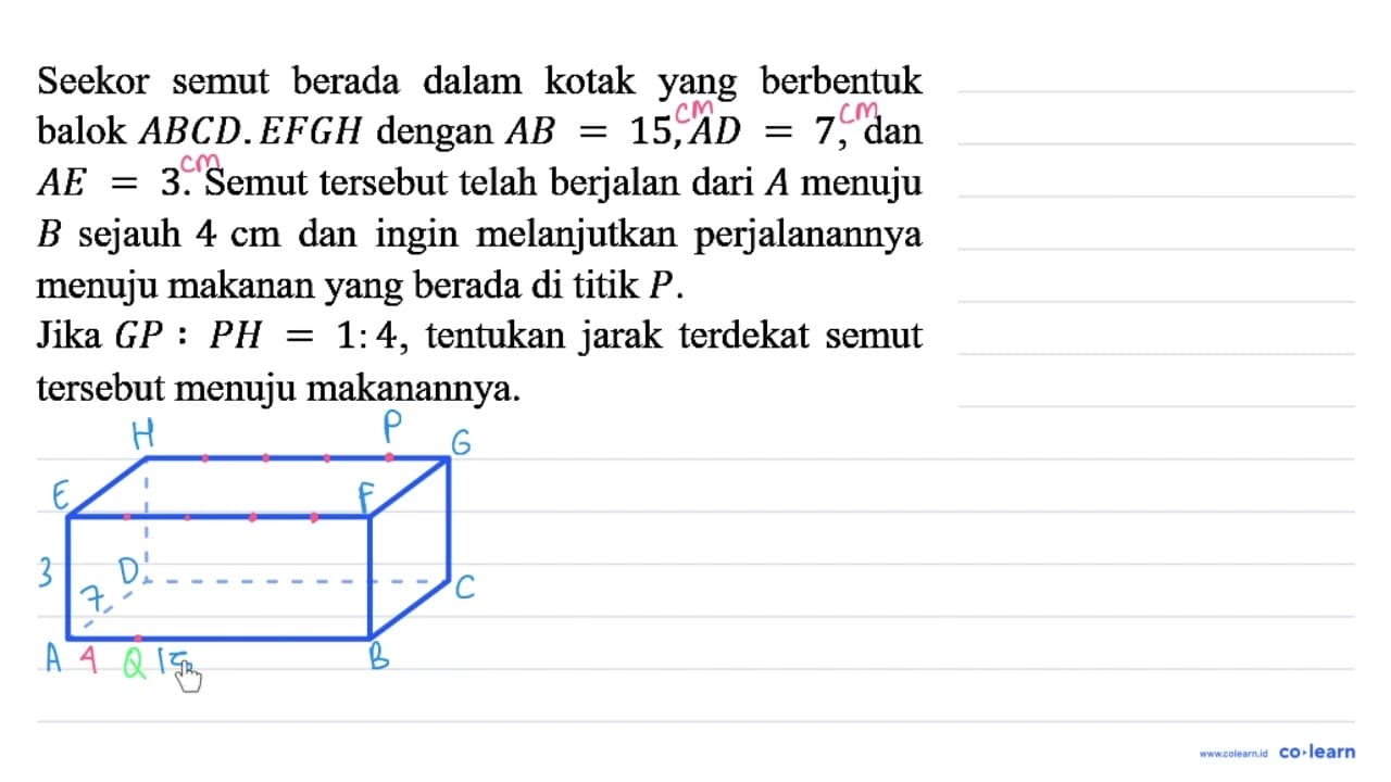 Seekor semut berada dalam kotak yang berbentuk balok A B C