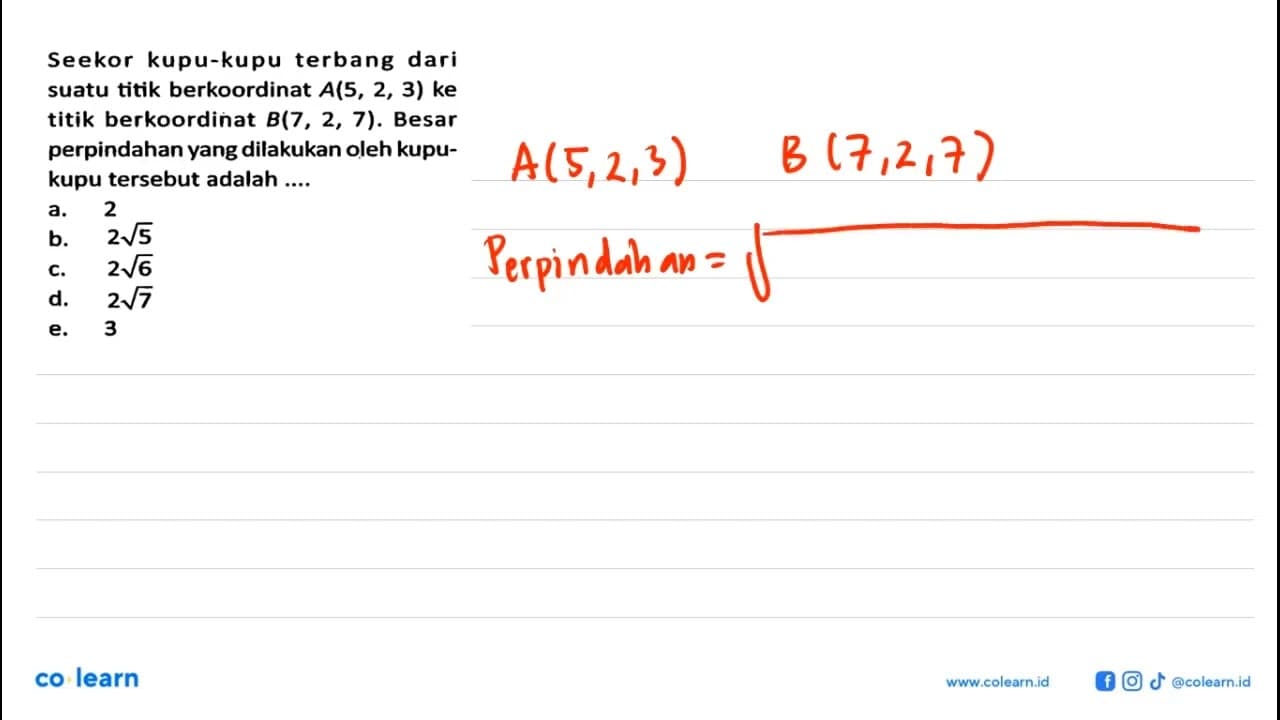 Seekor kupu-kupu terbang dari suatu titik berkoordinat