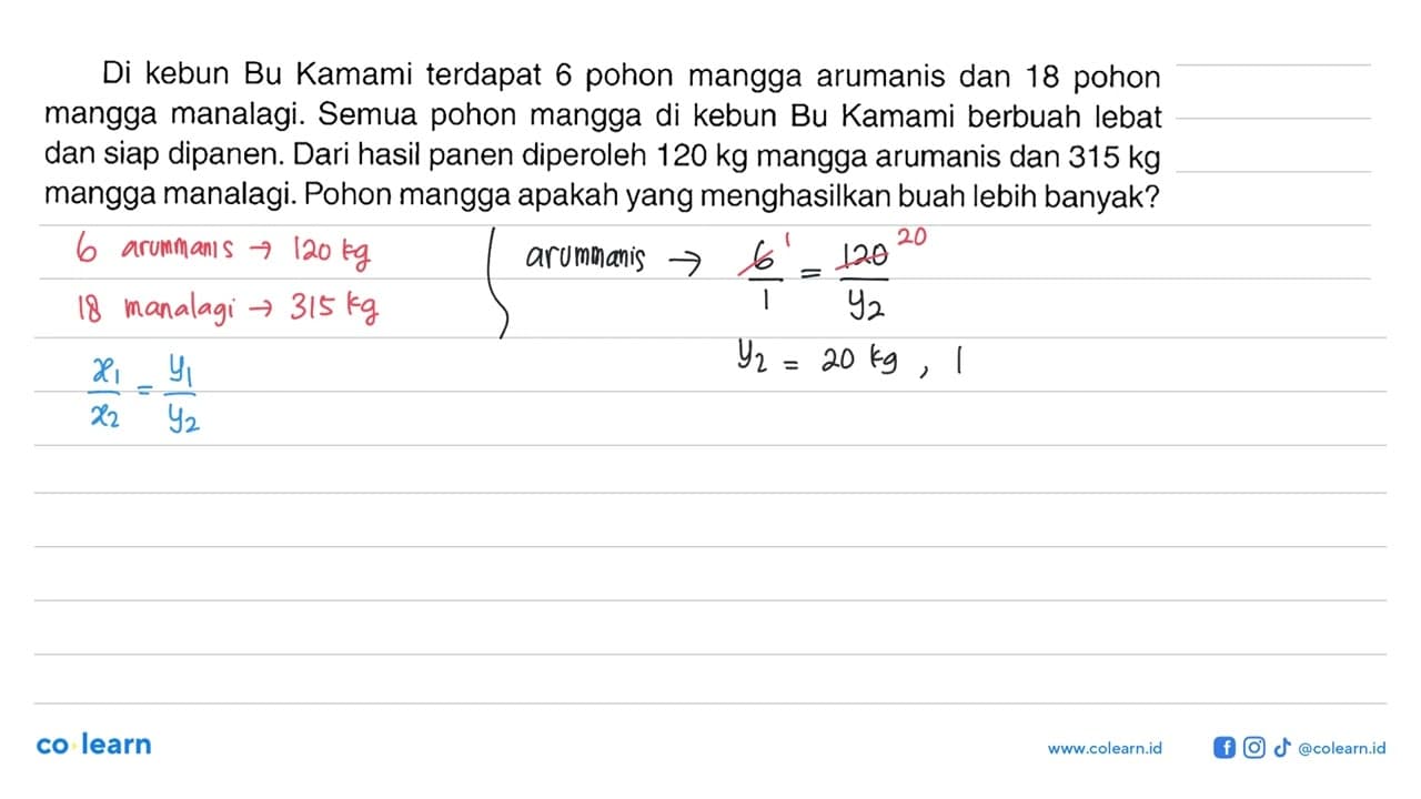 Di kebun Bu Kamami terdapat 6 pohon mangga arumanis dan 18