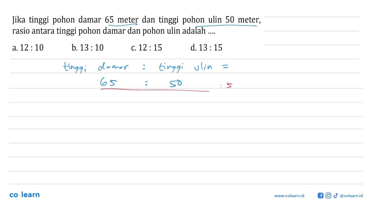 Jika tinggi pohon damar 65 meter dan tinggi pohon ulin 50