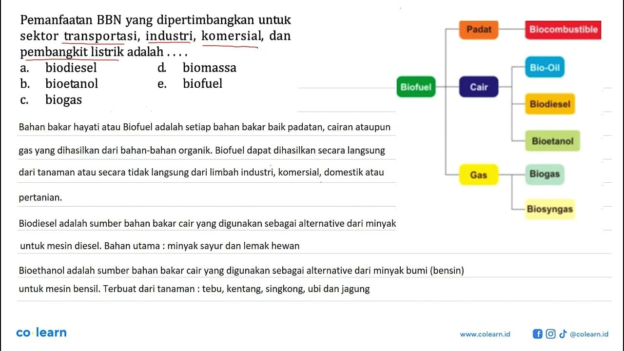 Pemanfaatan BBN yang dipertimbangkan untuk sektor