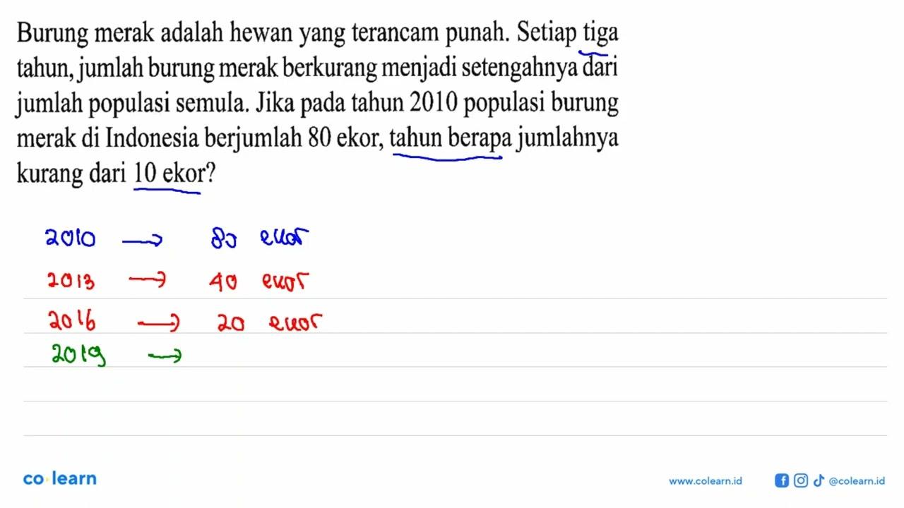 Burung merak adalah hewan yang terancam punah. Setiap tiga