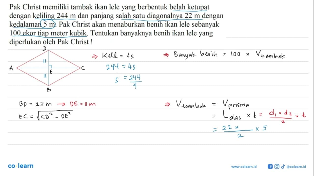 Pak Christ memiliki tambak ikan lele yang berbentuk belah