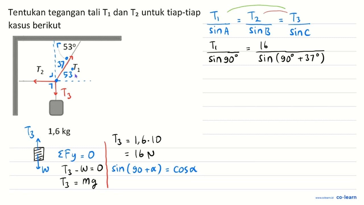 Tentukan tegangan tali T_(1) dan T_(2) untuk tiap-tiap