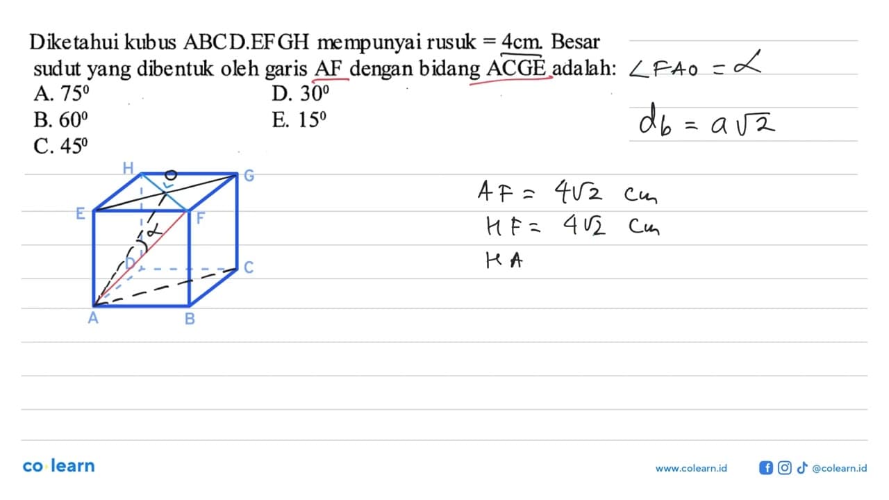 Dike tahui kubus ABCD.EFGH mempunyai rusuk=4 cm. Besar