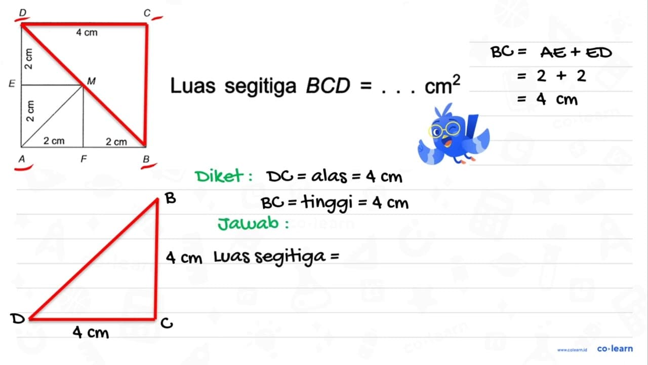 Luas segitiga B C D=... cm^(2)