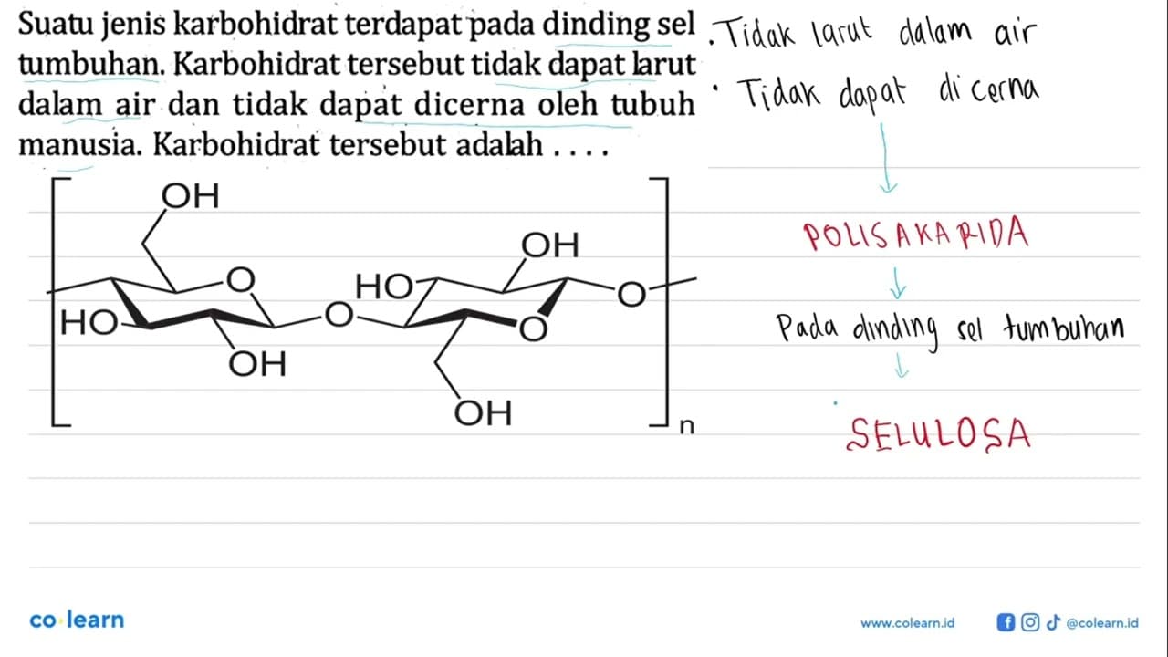 Suatu jenis karbohidrat terdapat pada dinding sel tumbuhan.