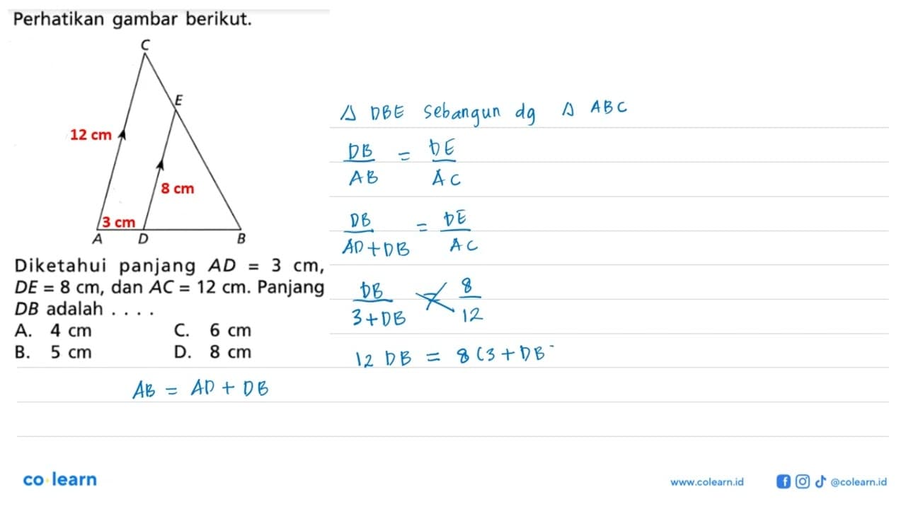 perhatikan gambar berikut. Diketahui panjang AD=3 cm, DE=8