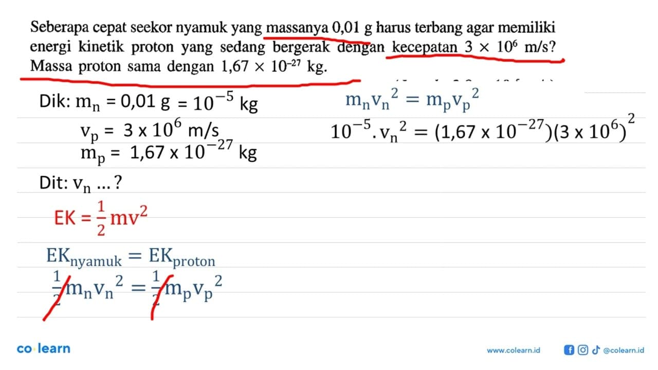 Seberapa cepat seekor nyamuk yang massanya 0,01 g harus