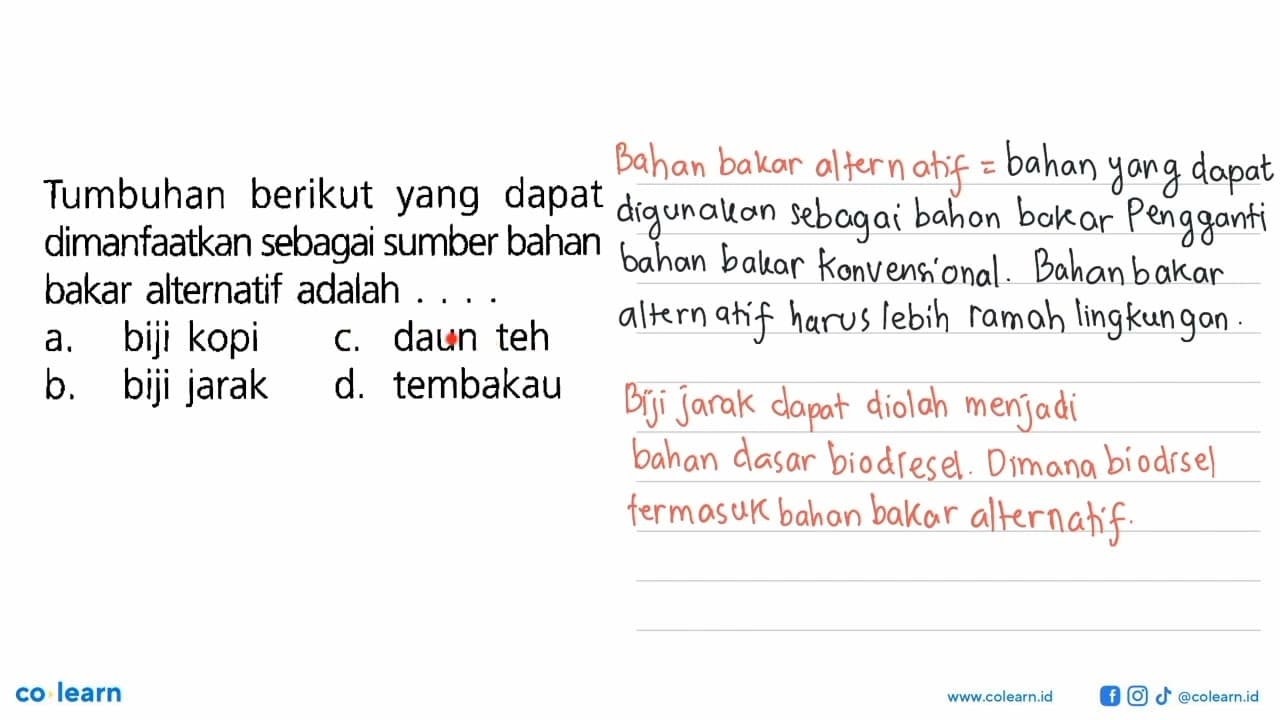 Tumbuhan berikut yang dapat dimanfaatkan sebagai sumber