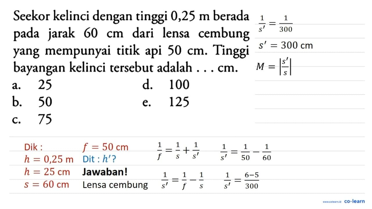 Seekor kelinci dengan tinggi 0,25 m berada pada jarak 60 cm