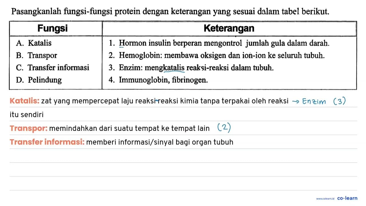 Pasangkanlah fungsi-fungsi protein dengan keterangan yang