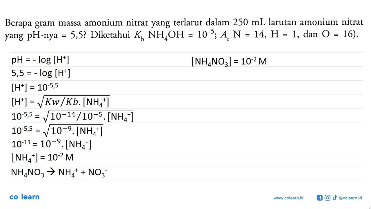 Berapa gram massa amonium nitrat yang terlarut dalam 250 mL