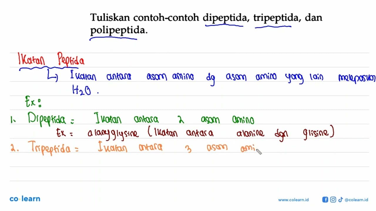 Tuliskan contoh-contoh dipeptida, tripeptida, dan