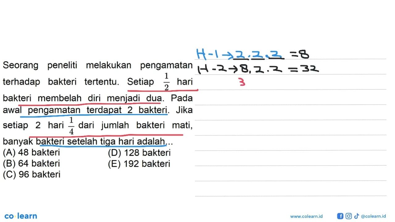 Seorang peneliti melakukan pengamatan terhadap bakteri