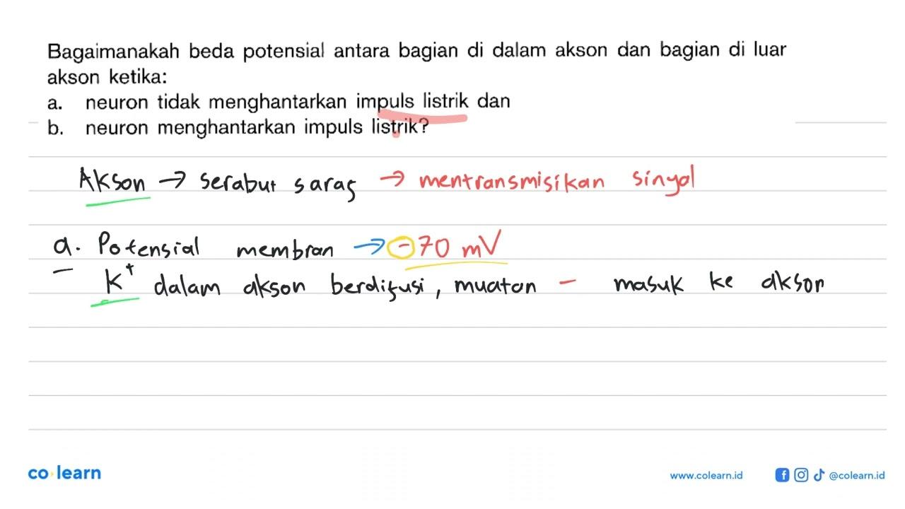 Bagaimanakah beda potensial antara bagian di dalam akson