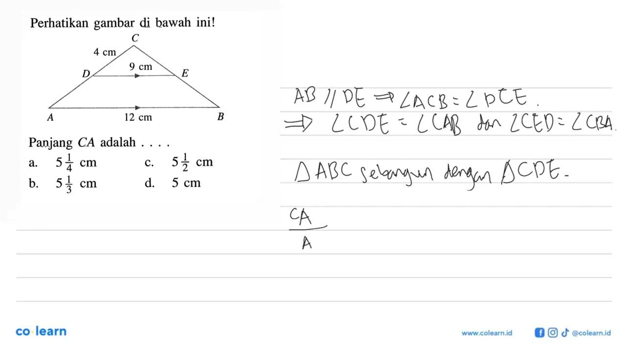 Perhatikan gambar di bawah ini! 4 cm 9 cm 12 cm Panjang CA