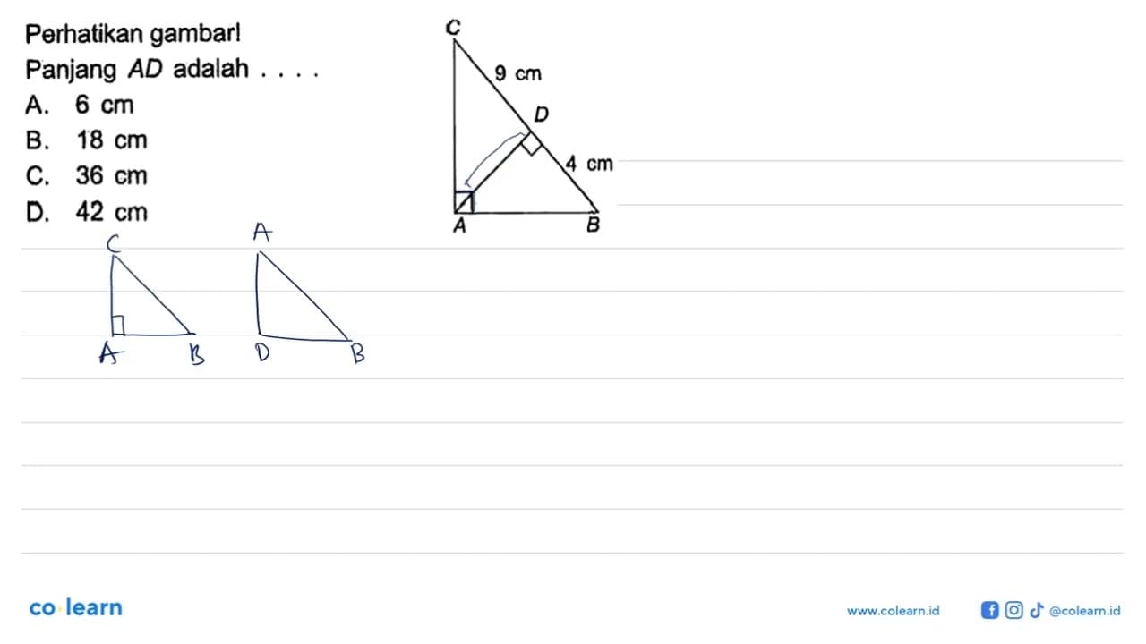 Perhatikan gambar! A B C D 9 cm 4 cmPanjang AD adalah