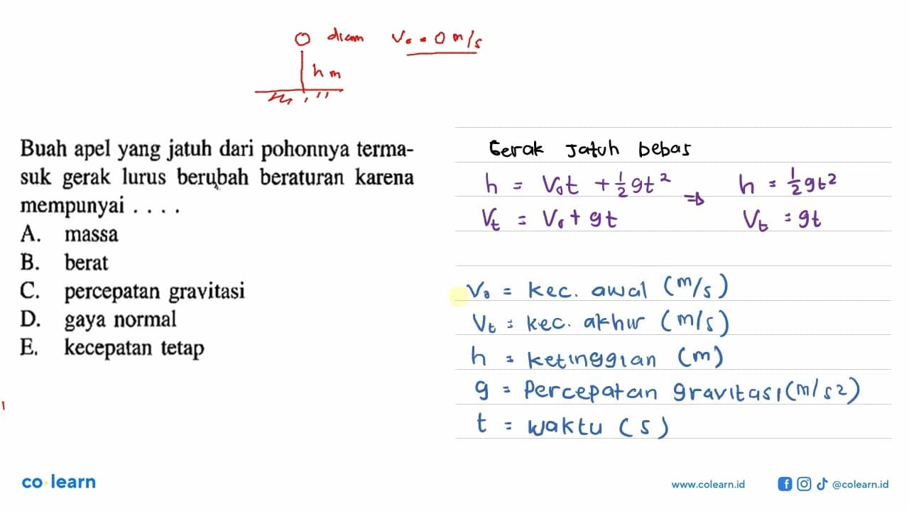 Buah apel yang jatuh dari pohonnya termasuk gerak lurus