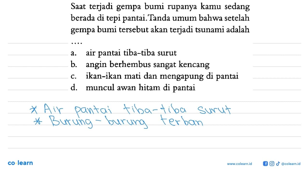 Saat terjadi gempa bumi rupanya kamu sedang berada di tepi