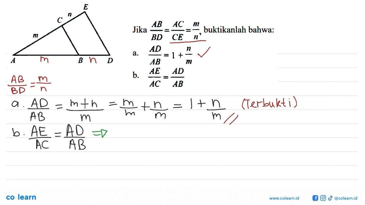 E n C m A B D Jika AB/BD = AC/CE = m/n, buktikanlah bahwa: