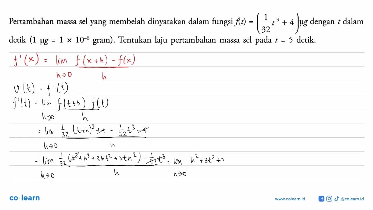 Pertambahan massa sel yang membelah dinyatakan dalam fungsi