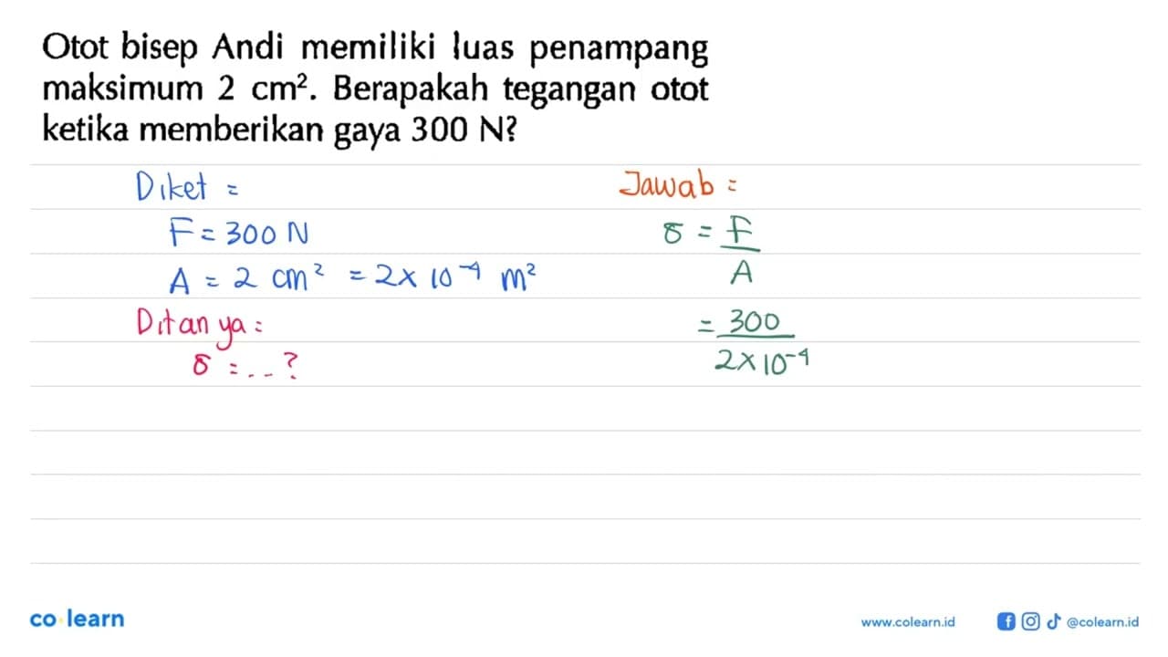 Otot bisep Andi memiliki luas penampang maksimum 2 cm^2.