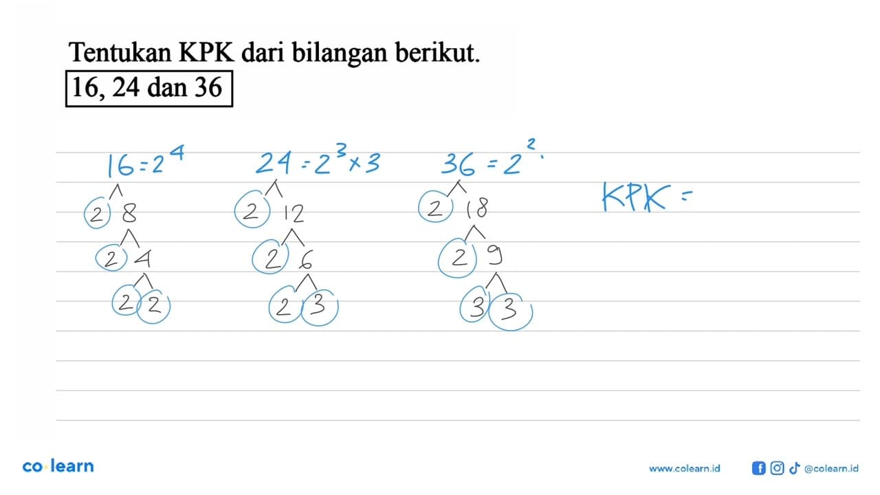 Tentukan KPK dari bilangan berikut. 16, 24 dan 36