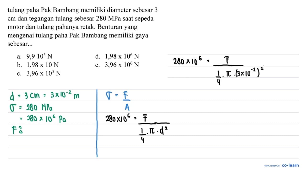 tulang paha Pak Bambang memiliki diameter sebesar 3 cm dan