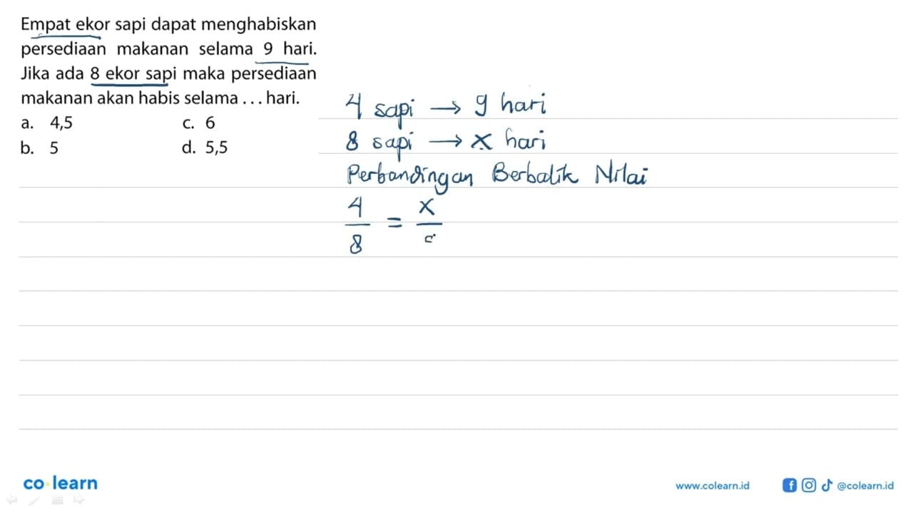 Empat ekor sapi dapat menghabiskan persediaan makanan